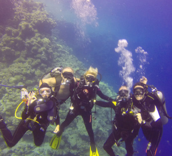 5 men diving in the Red Sea, Hurgada, Sharm El sheikh Holidays, Christmas In Egypt, Hurghada Snorkeling,Christmas in hurghada