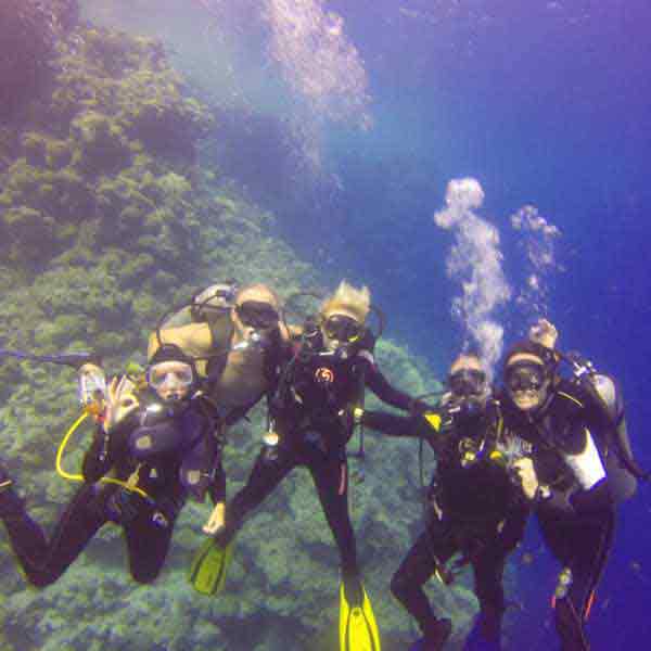 5 men diving in the Red Sea, Hurgada, Sharm El sheikh Holidays, Christmas In Egypt, Hurghada Snorkeling,Christmas in hurghada