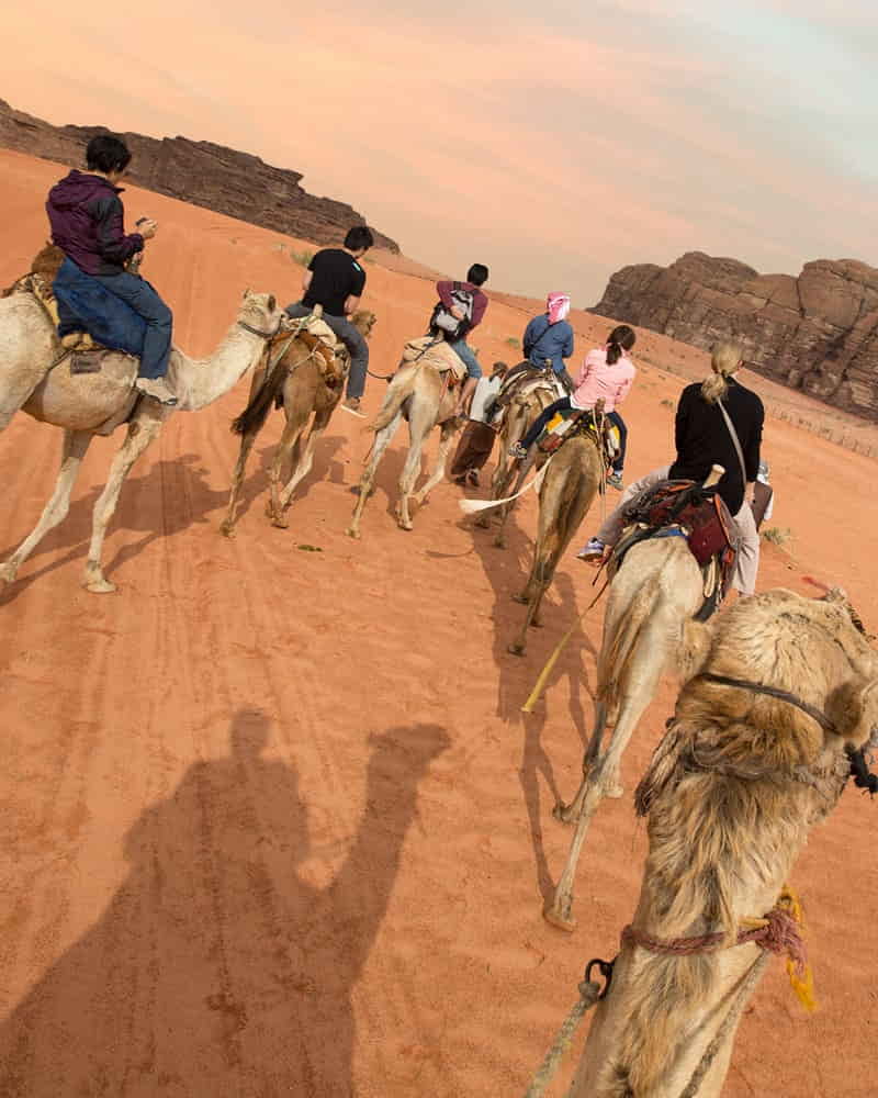 western desert tours egypt