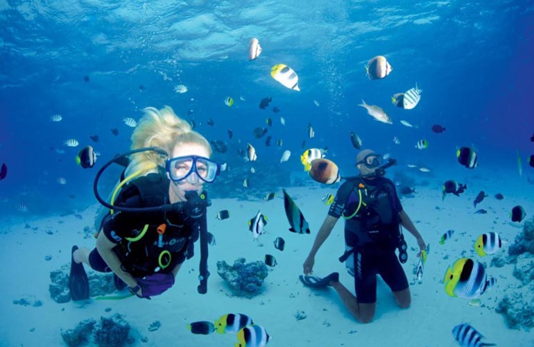 Diving in Sharl El shiekh - Honeymoon in EGypt