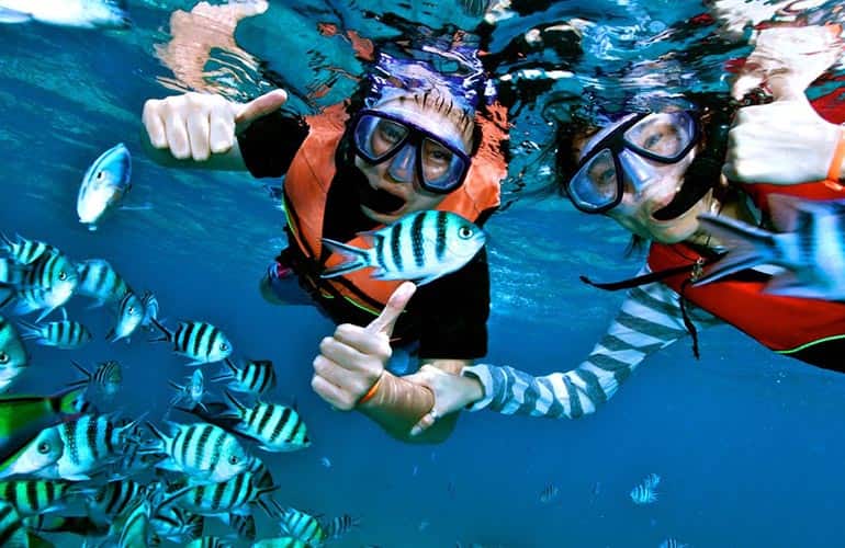 Ras Mohamed snorkeling - Honeymoon in Egypt