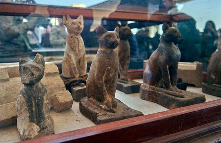What does the cat mean in Egyptian?